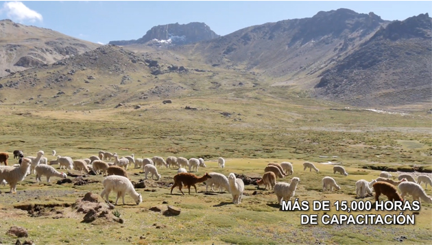 Modelo BrochureArtboard 1